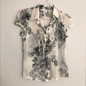 Zara 100% Silk Sheer Blouse